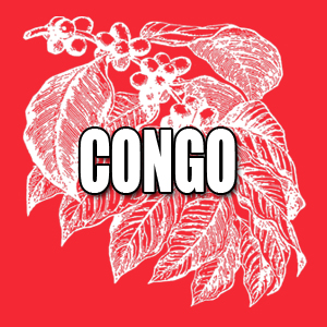 View Congo Coffees and Info