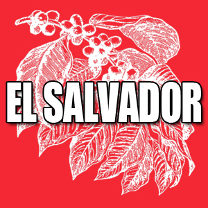 View El Salvador Coffees and Info