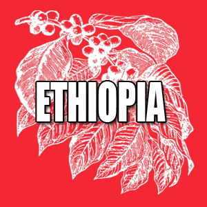 View Ethiopia Coffees and Info