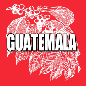 View Guatemala Coffees and Info