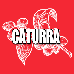 View Caturra Coffees and Info