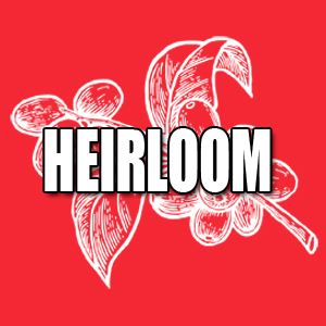 View Heirloom Coffees and Info