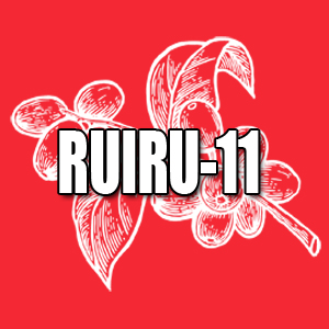 View Ruiru-11 Coffees and Info