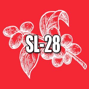 SL-28
