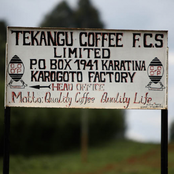 Kenya Nyeri - Karogoto Peaberry