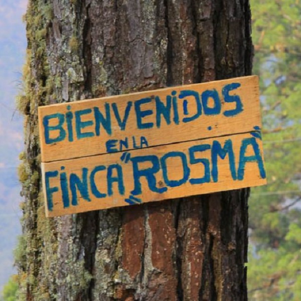 Guatemala Huehuetenango - Finca Rosma
