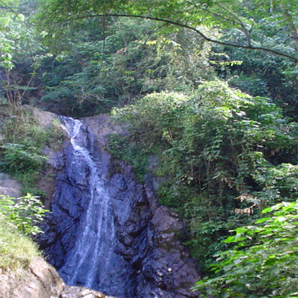 Guatemala Huehuetenango - El Injertal
