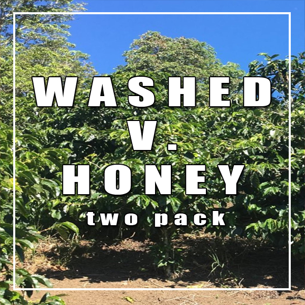 Washed v. Honey Two-Pack