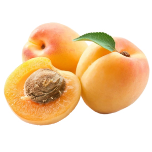 Apricot