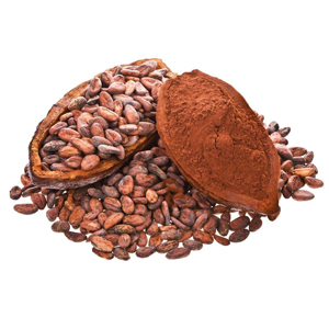 Cocoa