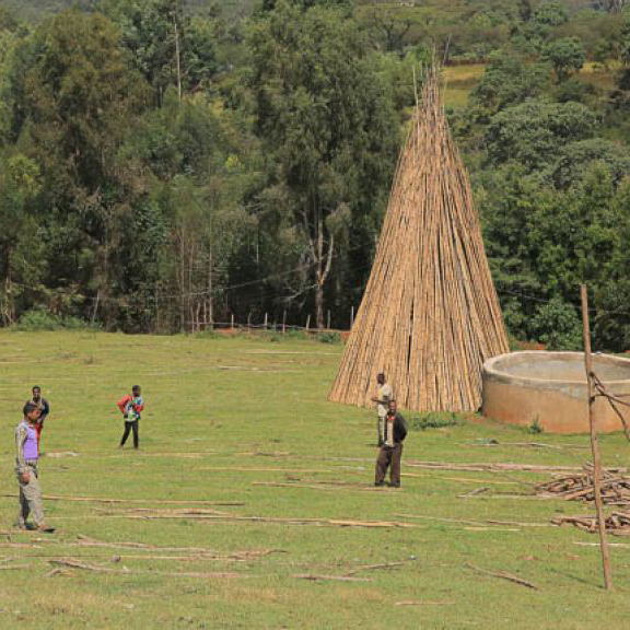 Ethiopia Agaro - Kenisa