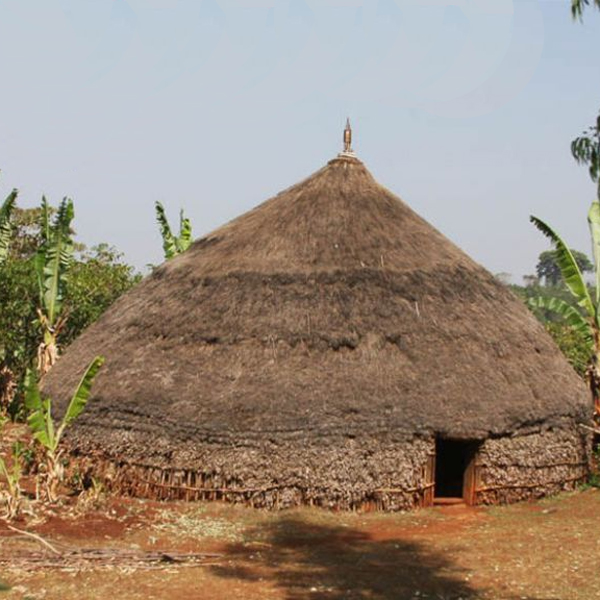 Ethiopia Sidama - Nansebo Tulu Golla