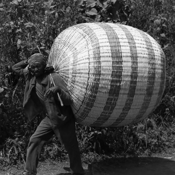 Ethiopia Yirgacheffe - Gedeb Asasa